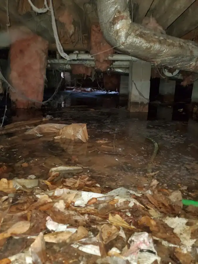 Crawl space flood assessment for Leak Detection & Repair in St. Martinville