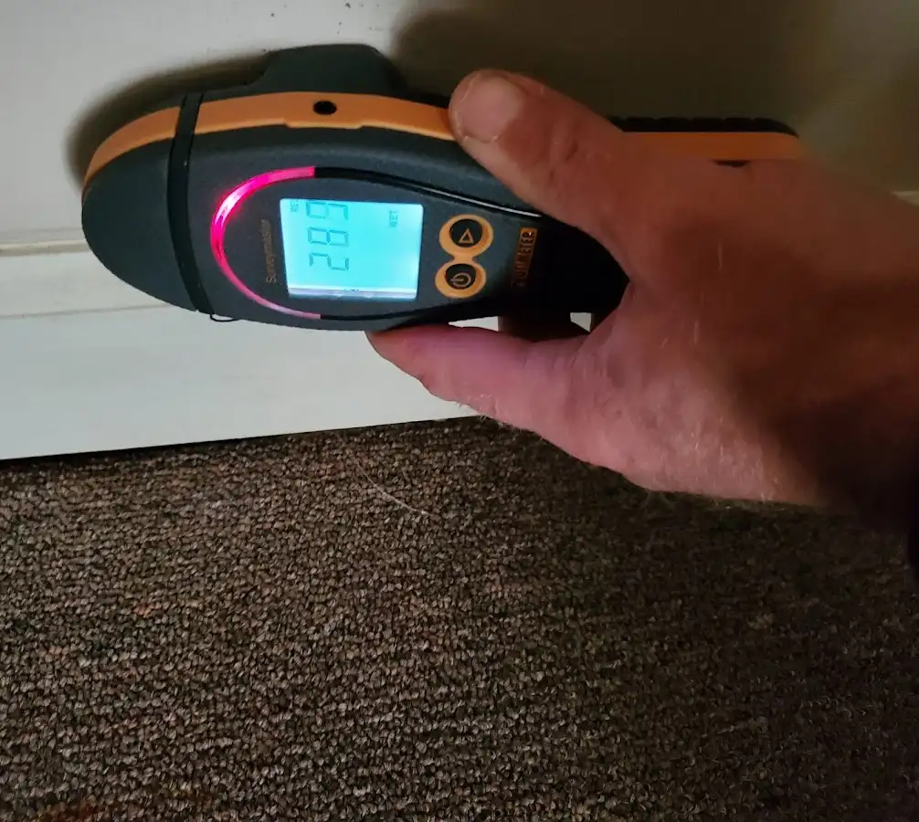 Moisture detection at baseboard during Sewage Cleanup & Sanitation in St. Martinville